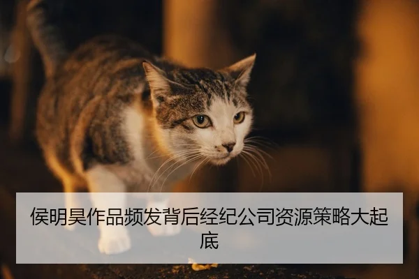 hou-ming-hao-zuo-pin-pin-fa-bei-hou-jing-ji-gong-si-zi-yuan-ce-lve-da-qi-di-2-811.jpg